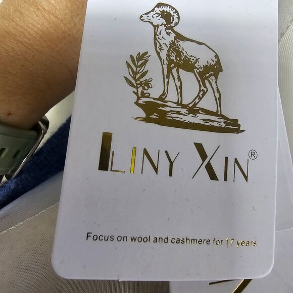 Liny Xin Womens V-Neck Superfine Merino Wool Sweater Sz L Blue Preppy Academia - Picture 10 of 12